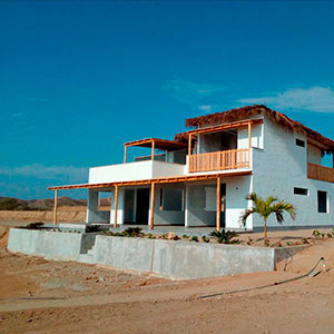 Proyecto : Las Palmeras