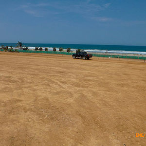 Proyecto : Las Palmeras