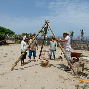 Proyecto : Las Palmeras