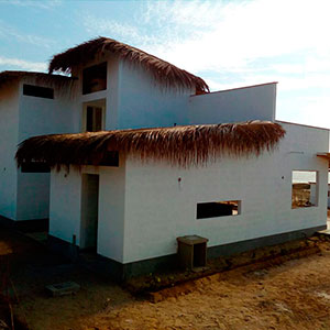 Proyecto : Las Palmeras