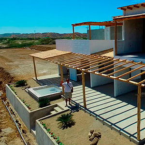 Proyecto : Las Palmeras