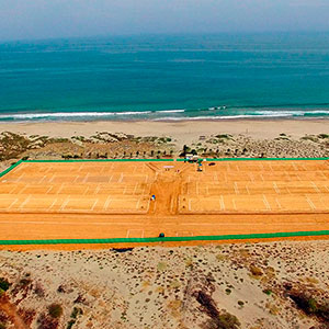 Proyecto : Las Palmeras