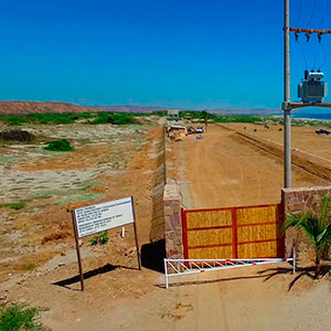 Proyecto : Las Palmeras