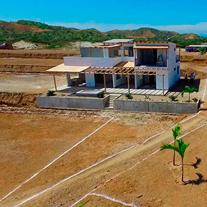 Proyecto : Las Palmeras