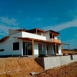 Proyecto : Las Palmeras
