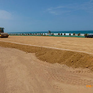 Proyecto : Las Palmeras