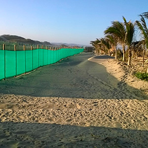 Proyecto : Las Palmeras